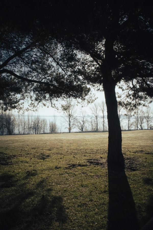 Draycote Hotel And Whitefields Golf Course Rugby Extérieur photo